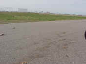 MVC-035X.JPG (157014 bytes)