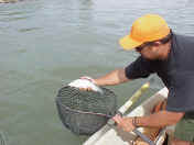 MVC-048X.JPG (138910 bytes)