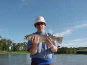 MVC-067X.JPG (104336 bytes)